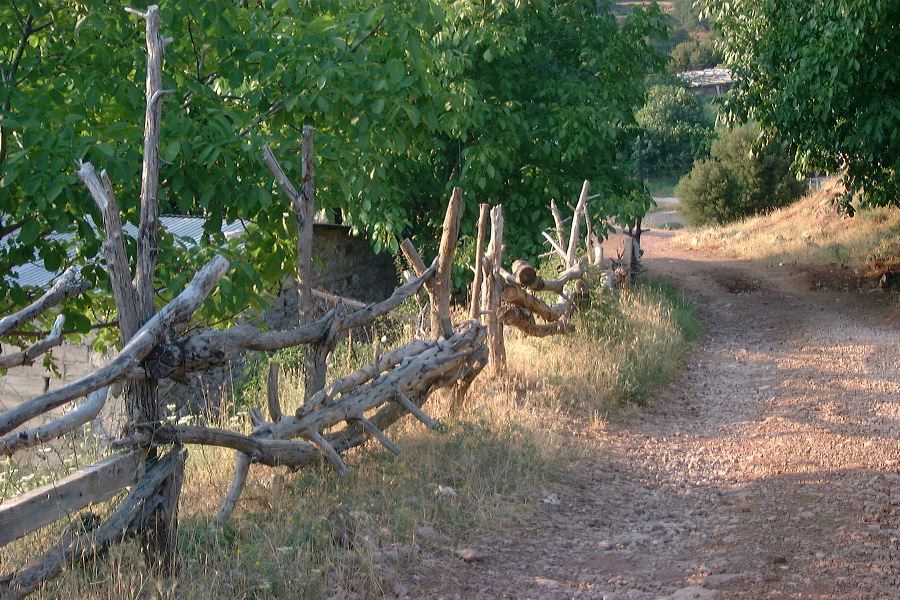 Chemin vers Potamos