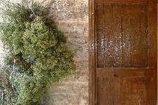 Volet et origan à sécher