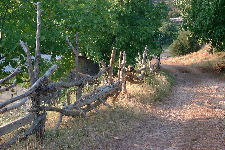 Chemin vers Potamos