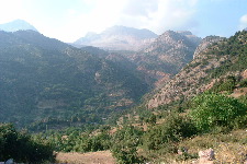 Plateau herbeux