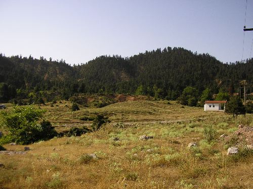 P8131363.JPG