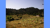 P8131363.JPG