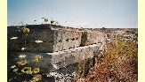 temple_delien.jpg