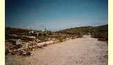 lions_naxiens#1.jpg