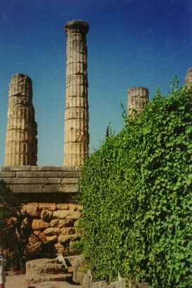 25c-delphes3.jpg