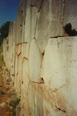 25e-delphes5.jpg