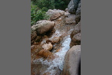 Mornos - Paysage #3 - Potamos Kokino