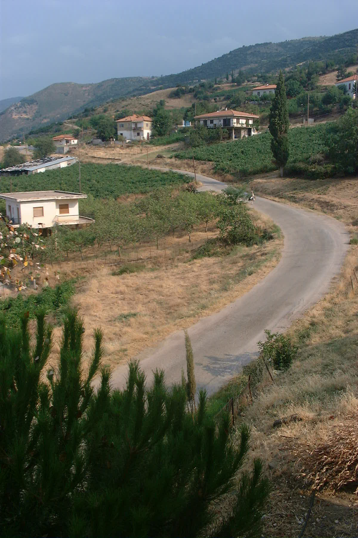 Paysage.jpg