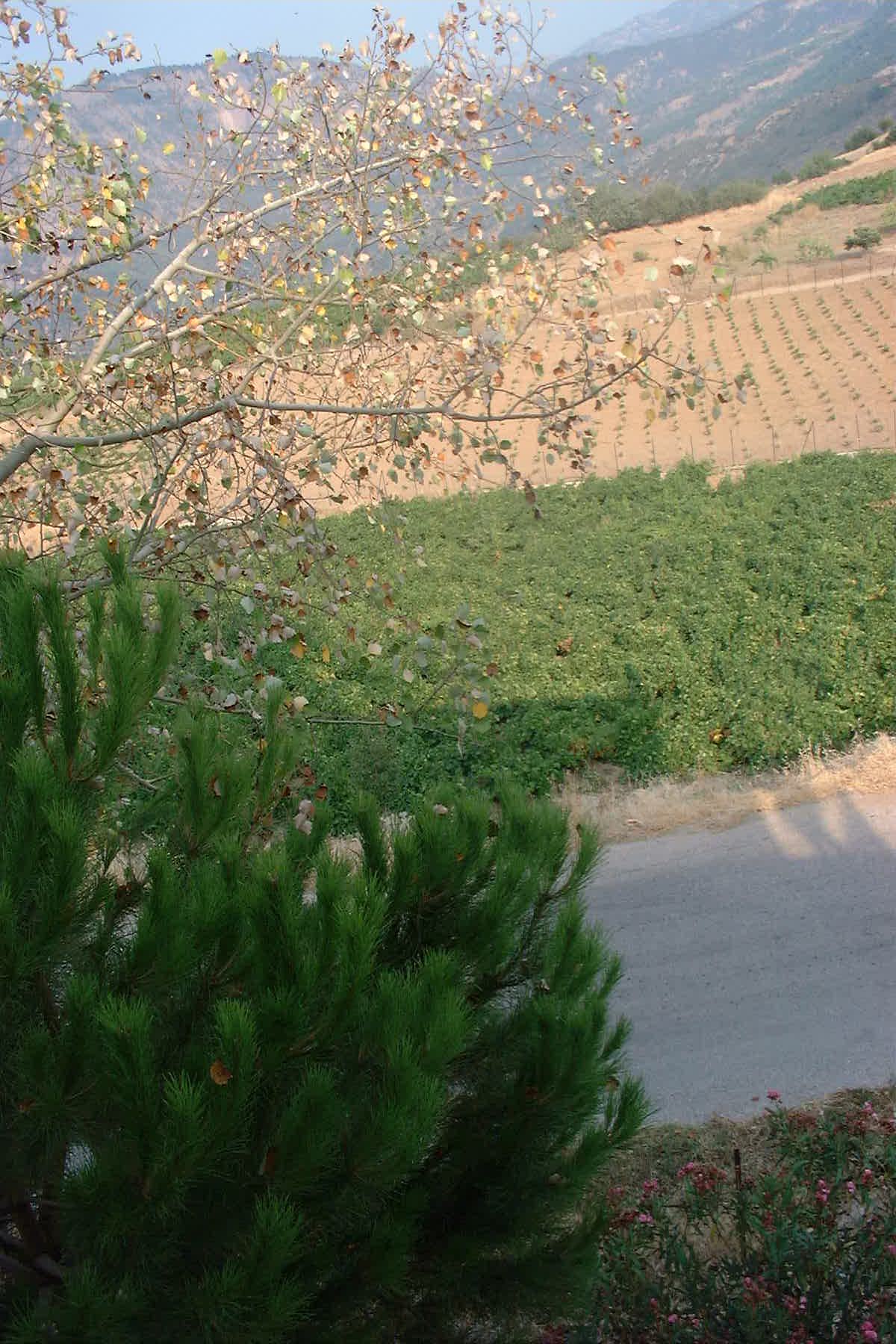 Paysage2.jpg