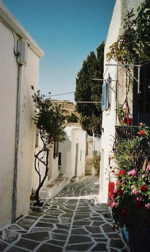 lefkes4.jpg
