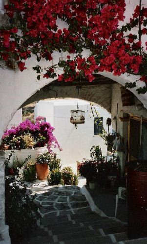 lefkes5.jpg