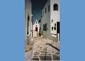 lefkes1.jpg