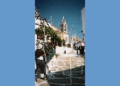 lefkes3.jpg