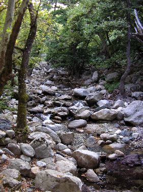 Lit du torrent - Fonia