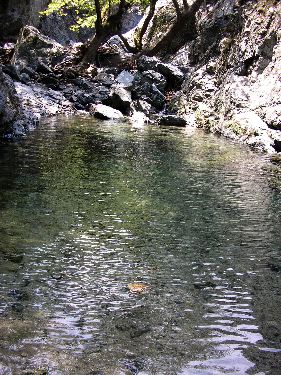 Vasque naturelle