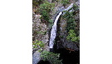 Cascade - Fonia