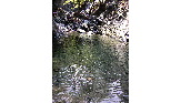 Vasque naturelle