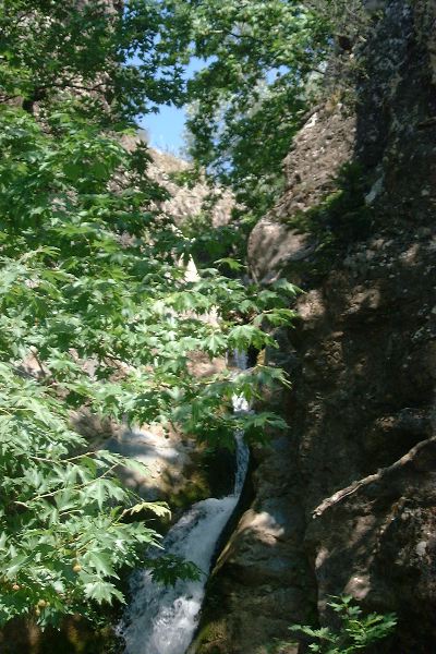 Cascade Stromi #1