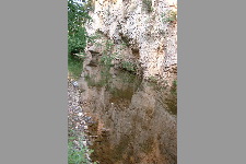 Potamos - Ruisseau