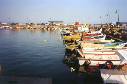 port3.jpg