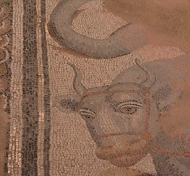 Mosaïque_taureau.jpg