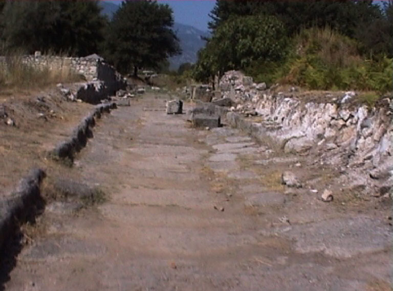 Rue.jpg