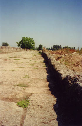 rue2.jpg